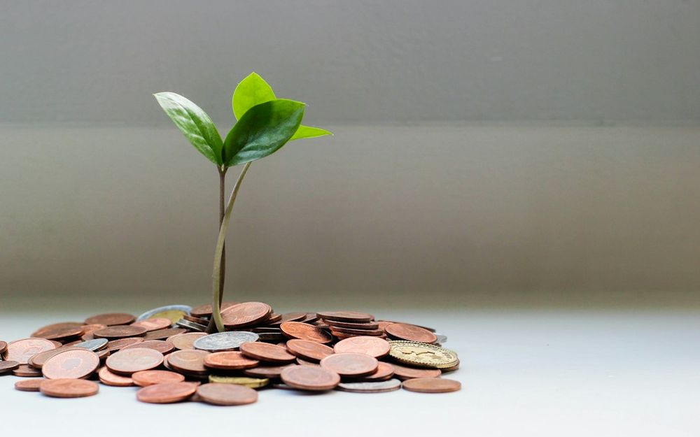 Young plant growing from a pile of coins, representing steady wealth building