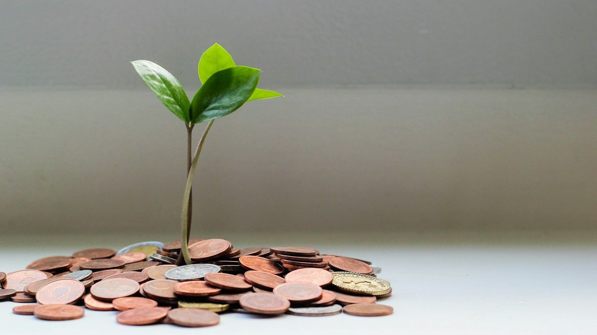 Young plant growing from a pile of coins, representing steady wealth building